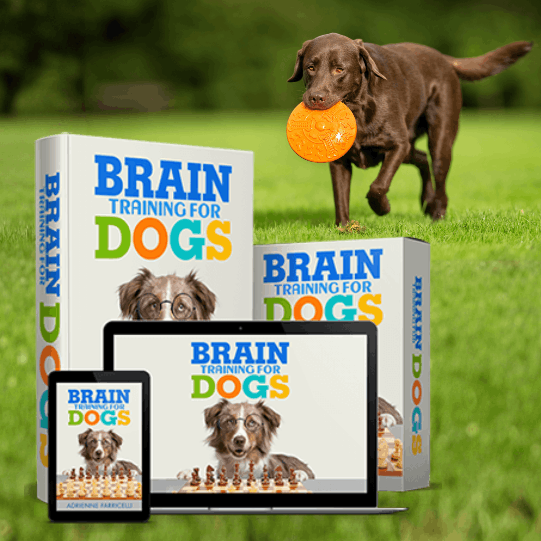 Brain Training 4 Dogs